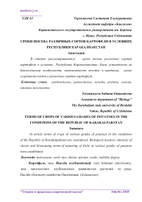 Сроки посева различных сортов картофеля в условиях Республики Каракалпакстан