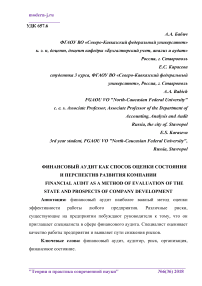 Финансовый аудит как способ оценки состояния и перспектив развития компании