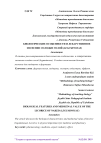 Биологические особенности и лекарственное значение солодки голой (Leguminosae)