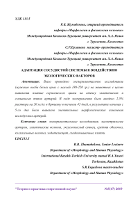 Адаптация сосудистой системы к воздействию экологических факторов