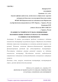 Реакция растений кукурузы на пониженные положительные температуры в естественных условиях и эксперименте