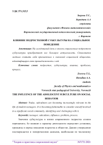 Влияние подростковой субкультуры на социальное поведение