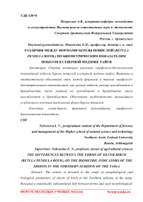 Различия между формами березы повислой (Betula pendula Roth.) по биометрическим показателям побегов в северной подзоне тайги