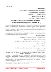 Региональные особенности развития и функционирования малого бизнеса