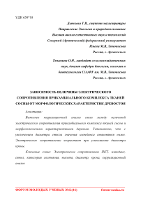 Зависимость величины электрического сопротивления прикамбиального комплекса тканей сосны от морфологических характеристик древостоя