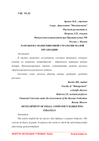 Разработка маркетинговой стратегии малой организации