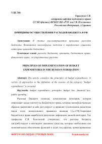 Принципы осуществления расходов бюджета в РФ