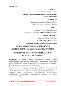 Проблемы оценки эффективности деятельности муниципальных предприятий