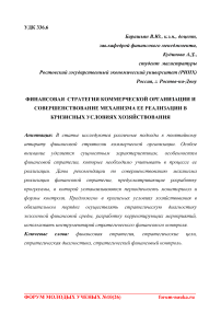 Финансовая стратегия коммерческой организации и совершенствование механизма ее реализации в кризисных условиях хозяйствования