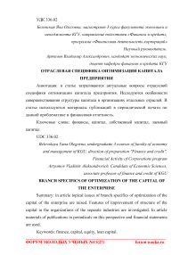 Отраслевая специфика оптимизации капитала предприятия