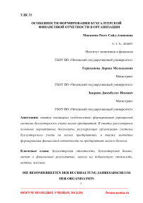 Особенности формирования бухгалтерской финансовой отчетности в организации