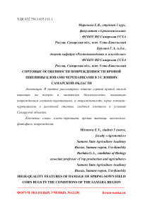 Сортовые особенности поврежденности яровой пшеницы клопами черепашками в условиях Самарской области