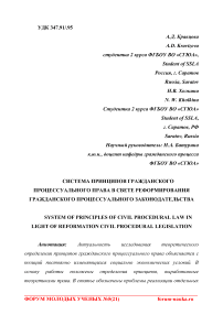 Система принципов гражданского процессуального права в свете реформирования гражданского процессуального законодательства