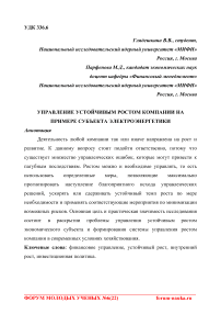 Управление устойчивым ростом компании на примере субъекта электроэнергетики