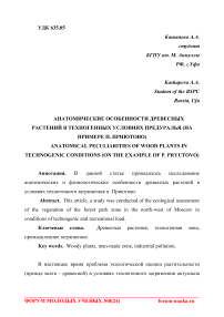 Анатомические особенности древесных растений в техногенных условиях Предуралья (на примере п. Приютово)