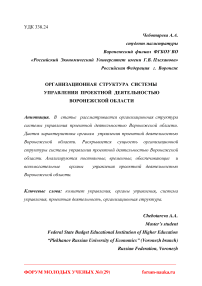 Организационная структура системы управления проектной деятельностью Воронежской области