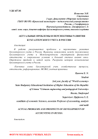 Актуальные проблемы и перспективы развития бухгалтерского учета в России