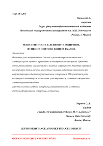 Резистентность к лептину и ожирение. Функции лептина в ЦНС и тканях