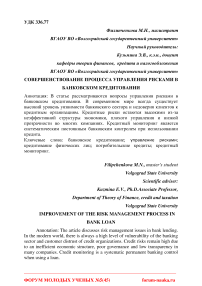 Совершенствование процесса управления рисками в банковском кредитовании