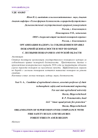 Организация надзора за соблюдением правил пожарной безопасности и мер по борьбе с лесными пожарами в Амурской области