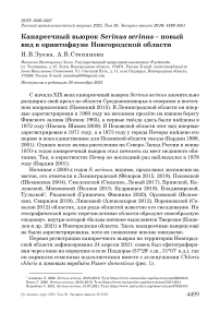 Канареечный вьюрок serinus serinus - новый вид в орнитофауне новгородской области