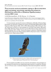 Результаты использования дрона и фотоловушек при изучении экологии орлана-белохвоста haliaeetus albicilla в южном прибалхашье летом 2021 года