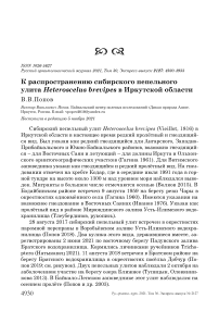 К распространению сибирского пепельного улита heteroscelus brevipes в иркутской области