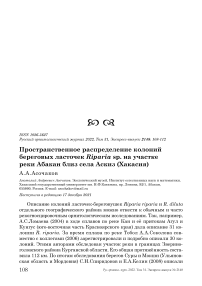 Пространственное распределение колоний береговых ласточек riparia sp. На участке реки абакан близ села аскиз (хакасия)