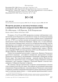 Встречи редких и малоизученных птиц в южной части белого моря весной 2020 года