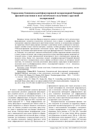 Управление ближнепольной фокусировкой мезоразмерной бинарной фазовой пластинки в поле оптического излучения с круговой поляризацией