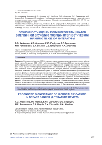 Возможности оценки роли микрокальцинатов в первичной опухоли с позиции прогностической значимости. Обзор литературы