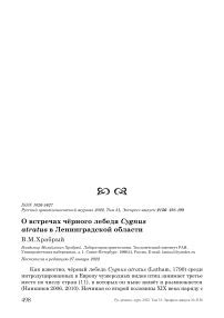 О встречах чёрного лебедя Cygnus atratus в Ленинградской области