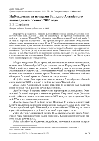 Наблюдения за птицами Западно-Алтайского заповедника осенью 2005 года