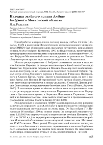 Находка зелёного конька Anthus hodgsoni в Московской области