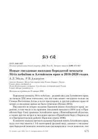 Новые гнездовые находки бородатой неясыти Strix nebulosa в Алтайском крае в 2016-2020 годах