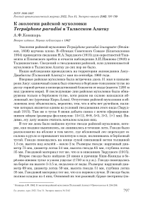 К экологии райской мухоловки Terpsiphone paradisi в Таласском Алатау