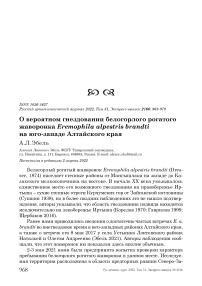 О вероятном гнездовании белогорлого рогатого жаворонка Eremophila alpestris Brandti на юго-западе Алтайского края