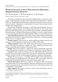 Встречи редких птиц в Павловском Придонье (Воронежская область)