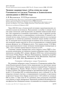 Зимние маршрутные учёты птиц на озере Сасыкколь и в дельте Тентека в Алакольском заповеднике в 2021/22 году