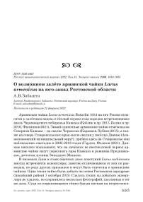 О возможном залёте армянской чайки Larus armenicus на юго-запад Ростовской области