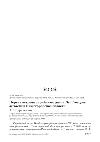 Первая встреча сирийского дятла Dendrocopos syriacus в Нижегородской области