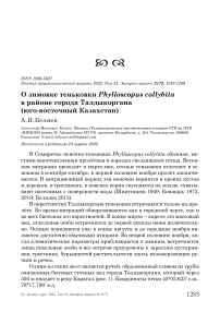 О зимовке теньковки Phylloscopus collybita в районе города Талдыкоргана (Юго-Восточный Казахстан)