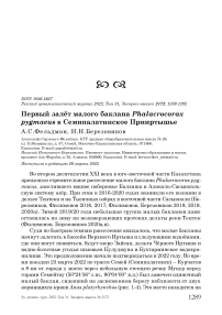 Первый залёт малого баклана Phalacrocorax pygmaeus в Семипалатинское Прииртышье