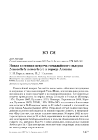 Новая весенняя встреча гималайского вьюрка Leucosticte nemoricola в городе Алматы