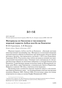 Материалы по биологии и численности морской чернети Aythya marila на Камчатке