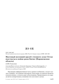 Массовый весенний пролёт степного луня Circus macrourus в пойме реки Битюг (Воронежская область)