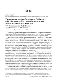 Гнездование орлана-белохвоста Haliaeetus albicilla на реке Потудань (Острогожский район Воронежской области)