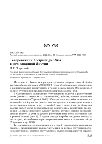 Тетеревятник Accipiter gentilis в Юго-Западной Якутии