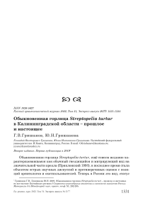 Обыкновенная горлица Streptopelia turtur в Калининградской области - прошлое и настоящее
