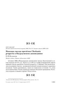 Находка гнезда кречётки Chettusia gregaria в Наурзумском заповеднике